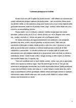 Prakses atskaite 'Prakses atskaite uzņēmumā "Air Baltic"', 4.