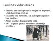 Prezentācija 'Ģimene un laulība vēsturiskā skatījumā', 9.