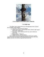 Diplomdarbs 'Harvestera ražīgumu ietekmējošo faktoru izpēte sausieņu tipos, iespējamie risinā', 20.