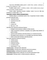 Konspekts 'Vadības funkcijas. Organizēšanas būtība. Organizācijas struktūras veidošana', 4.