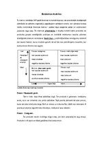 Konspekts 'Mārketinga stratēģijas', 2.