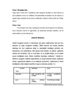 Konspekts 'Mārketinga stratēģijas', 3.