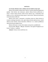 Diplomdarbs 'Reklāmas internetā attīstība Latvijas tirgū', 3.