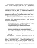 Diplomdarbs 'Reklāmas internetā attīstība Latvijas tirgū', 6.