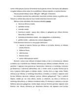 Diplomdarbs 'Reklāmas internetā attīstība Latvijas tirgū', 7.