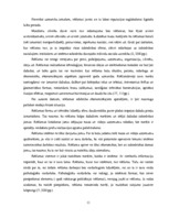 Diplomdarbs 'Reklāmas internetā attīstība Latvijas tirgū', 11.