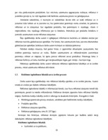 Diplomdarbs 'Reklāmas internetā attīstība Latvijas tirgū', 18.