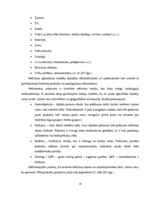 Diplomdarbs 'Reklāmas internetā attīstība Latvijas tirgū', 19.