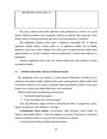 Diplomdarbs 'Reklāmas internetā attīstība Latvijas tirgū', 24.