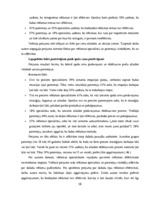 Diplomdarbs 'Reklāmas internetā attīstība Latvijas tirgū', 28.