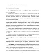 Diplomdarbs 'Reklāmas internetā attīstība Latvijas tirgū', 31.