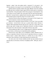 Diplomdarbs 'Reklāmas internetā attīstība Latvijas tirgū', 34.