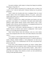 Diplomdarbs 'Reklāmas internetā attīstība Latvijas tirgū', 37.