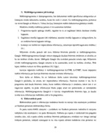 Diplomdarbs 'Reklāmas internetā attīstība Latvijas tirgū', 39.