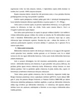 Diplomdarbs 'Reklāmas internetā attīstība Latvijas tirgū', 40.