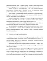 Diplomdarbs 'Reklāmas internetā attīstība Latvijas tirgū', 43.