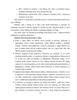 Diplomdarbs 'Reklāmas internetā attīstība Latvijas tirgū', 46.