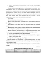 Diplomdarbs 'Reklāmas internetā attīstība Latvijas tirgū', 51.