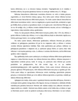 Diplomdarbs 'Reklāmas internetā attīstība Latvijas tirgū', 58.