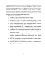 Diplomdarbs 'Reklāmas internetā attīstība Latvijas tirgū', 59.