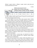 Diplomdarbs 'Reklāmas internetā attīstība Latvijas tirgū', 66.