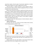 Diplomdarbs 'Reklāmas internetā attīstība Latvijas tirgū', 74.