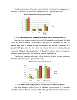 Diplomdarbs 'Reklāmas internetā attīstība Latvijas tirgū', 82.
