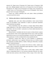 Diplomdarbs 'Reklāmas internetā attīstība Latvijas tirgū', 86.