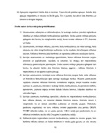 Diplomdarbs 'Reklāmas internetā attīstība Latvijas tirgū', 92.