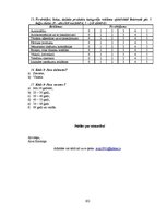 Diplomdarbs 'Reklāmas internetā attīstība Latvijas tirgū', 103.