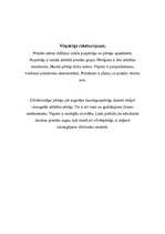 Konspekts 'Cilvēkveidīgie pērtiķi jeb primāti', 2.