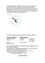 Referāts 'Organiskā ķīmija', 4.