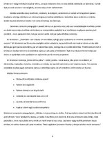 Konspekts 'Montesori skola', 9.