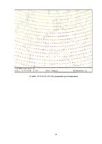 Referāts 'Sinoptiskā meteoroloģija', 37.