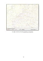 Referāts 'Sinoptiskā meteoroloģija', 41.