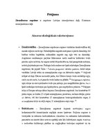 Referāts 'Ziemeļkursas augstienes pētījums', 1.