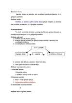 Referāts 'Agresijas līmeņu un skolotāju dotā novērtējuma sakarība 16-18 gadīgiem jauniešie', 4.
