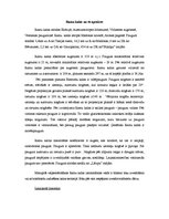 Konspekts 'Ledāja reljefa mezoformas apraksts', 2.