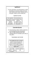 Konspekts 'Jēdzieni politikā un tiesībās', 4.