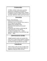 Konspekts 'Jēdzieni politikā un tiesībās', 8.