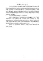 Konspekts 'Uzņēmuma "Hesburger" mārketinga analīze', 5.