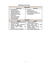 Konspekts 'Uzņēmuma "Hesburger" mārketinga analīze', 6.