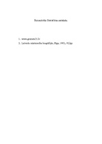 Referāts 'Anšlavs Eglītis "Pansija pilī"', 21.