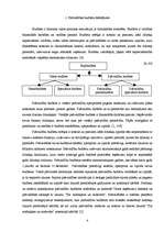 Referāts 'Valmieras pašvaldības budžeta analīze', 4.