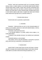 Referāts 'Valmieras pašvaldības budžeta analīze', 5.