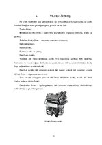 Referāts 'Transporta sistēmu komponentes', 13.