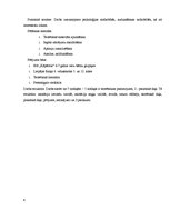 Referāts 'Bērnu un pieaugušo baiļu un fobiju atšķirības', 6.