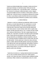 Referāts 'Darba intervijas metodes', 7.