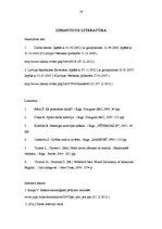 Referāts 'Darba intervijas metodes', 19.