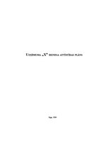 Biznesa plāns 'Uzņēmuma "X" biznesa attīstības plāns', 1.